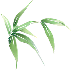 尋味端午 ，“粽”享六一——?？谑猩礁哂變簣@“迎端午，慶六一”雙節(jié)活動(dòng)-圖片76