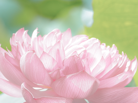 成長在山高，不負(fù)好時光‖海口山高中學(xué)學(xué)生優(yōu)秀習(xí)作展示（第二十四期）