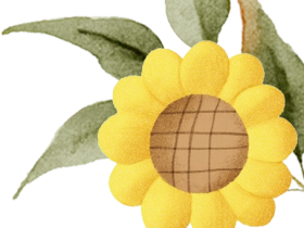 超燃！?？谏礁邔W校各年級常規(guī)訓練“名場面”來襲！