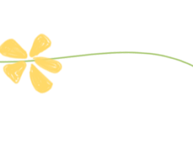 小小路隊長 擔當大責任——?？谏礁邔W校2025年秋季路隊長專題培訓 !