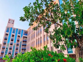 【國培計劃2025】聚焦數(shù)字化創(chuàng)新，打造智慧化課堂——海南省中小學教育集團數(shù)字化轉(zhuǎn)型學科骨干教師數(shù)字化教學創(chuàng)新能力提升培訓