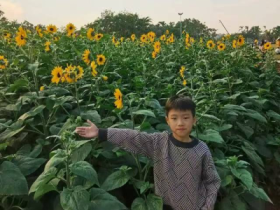 “春暖花開憶清明 習(xí)俗傳承潤童心”——定安縣山高學(xué)校小學(xué)部清明節(jié)主題系列活動(dòng)